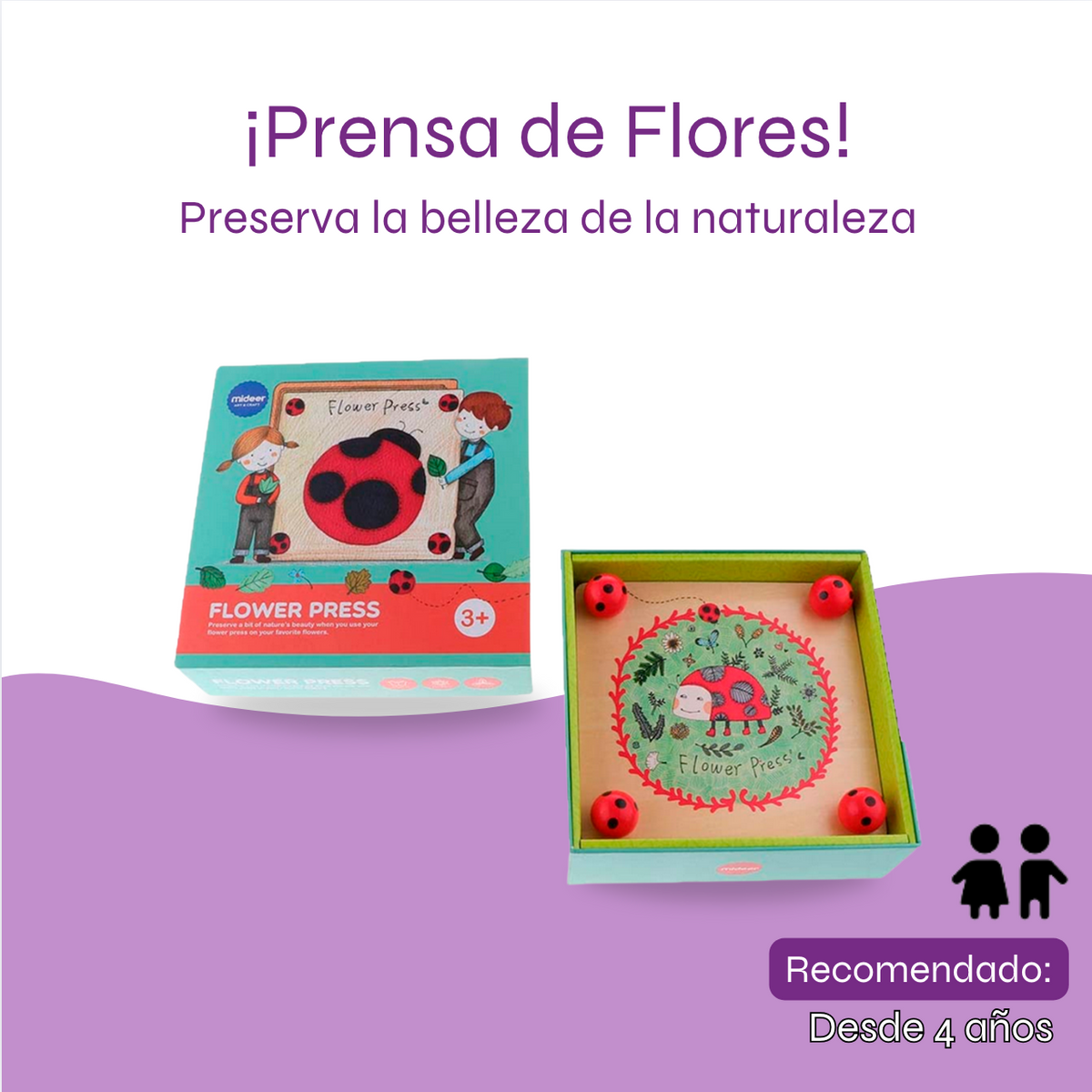 Prensa de Flores - Preserva la Naturaleza y Desarrolla la Creatividad